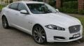XF